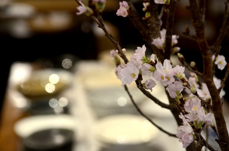 どんな器を買うのがよいか