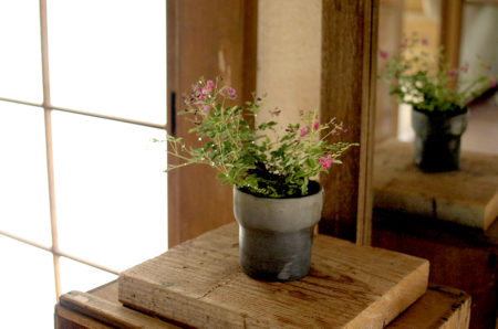 7月13日(土)榊麻美さんの「屋久島萩と茶筅シダの寄せ植えワークショップ」参加者募集　